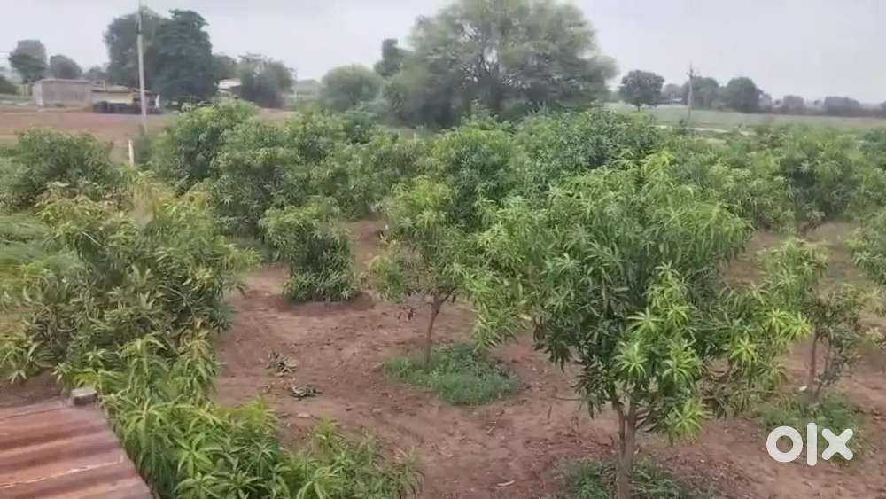 BAST LOCATION NA LAND