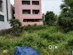 Site for sale in nidadavole