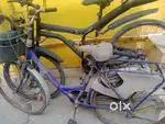 Two cycles ladybird hercules