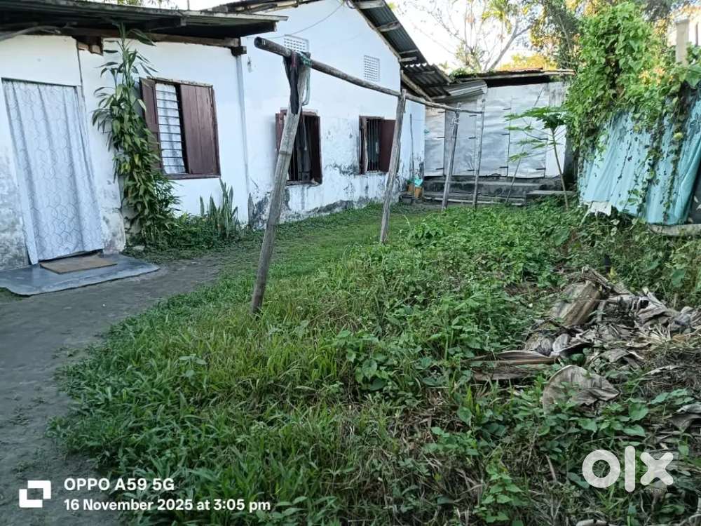 1katha land(50m from main road) available for sale. Amolapatty