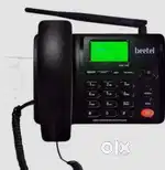 Telephone beetal