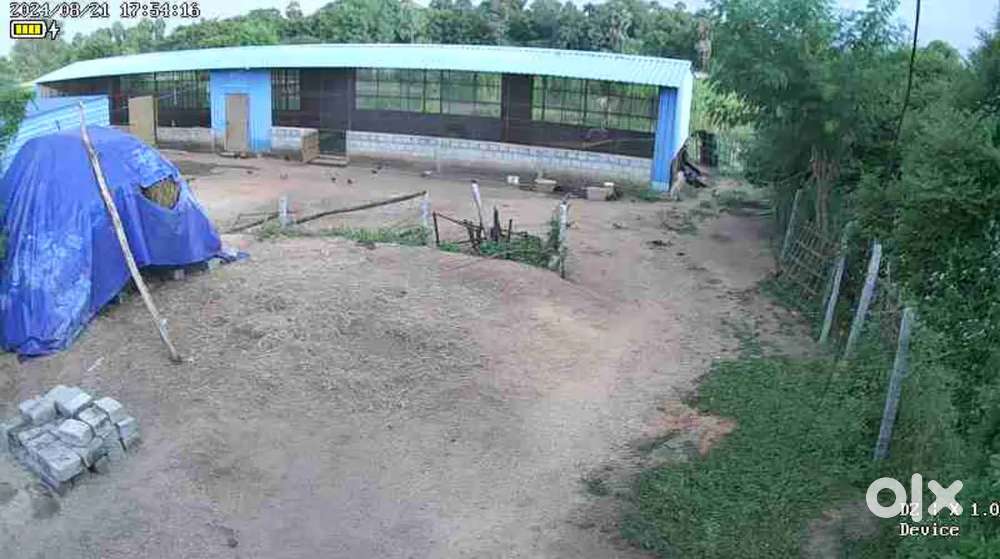 Near thiruthani temple for 8 km farmland