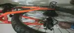 Roadeo cycle