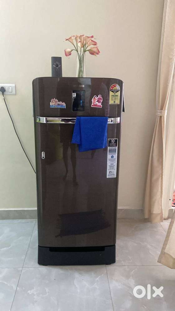 Samsung Single door
