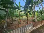 Land for sale in potthencode Nannattukavu