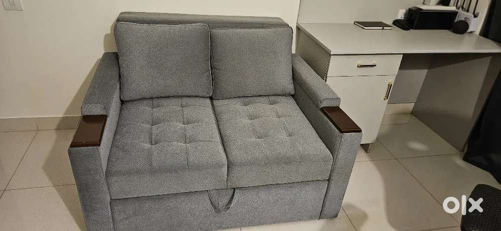 Two seater sofa cum bed