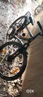 Avon cycle
