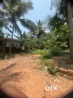 4 cent plot for sale