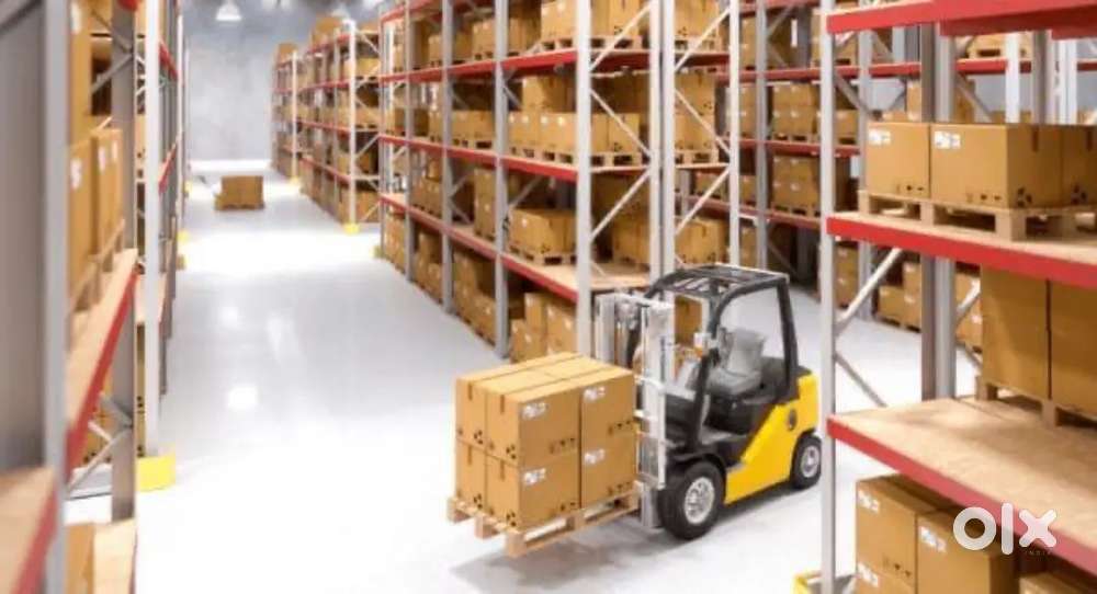 Hiring freshers in warehouse