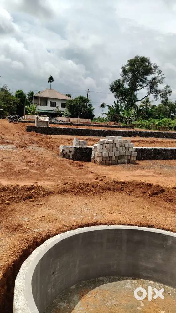 Kakkanad Infopark Pukkaattupady house  plot