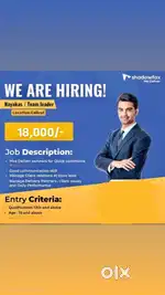 Team Lead of Leading Logistics firm