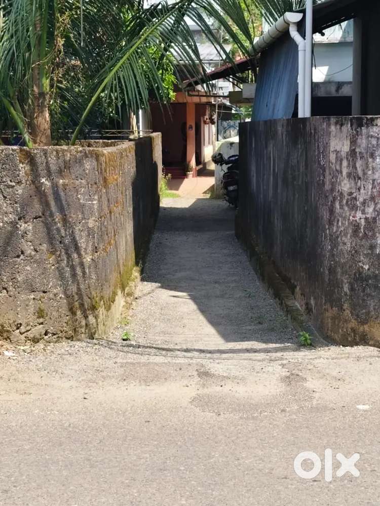 Vennala high school road 3 cent plot, total 25 lakhs