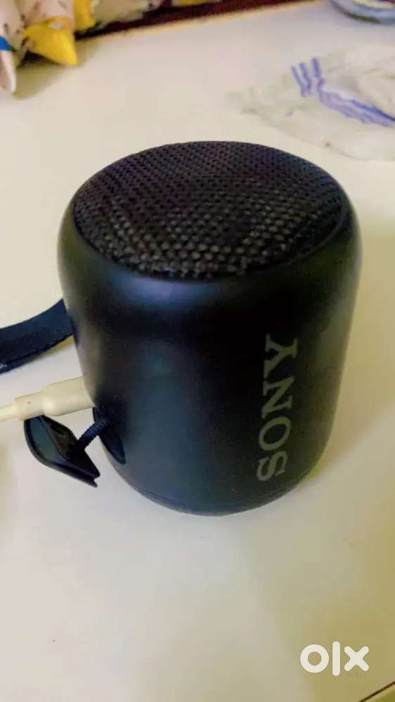 Sony speaker
