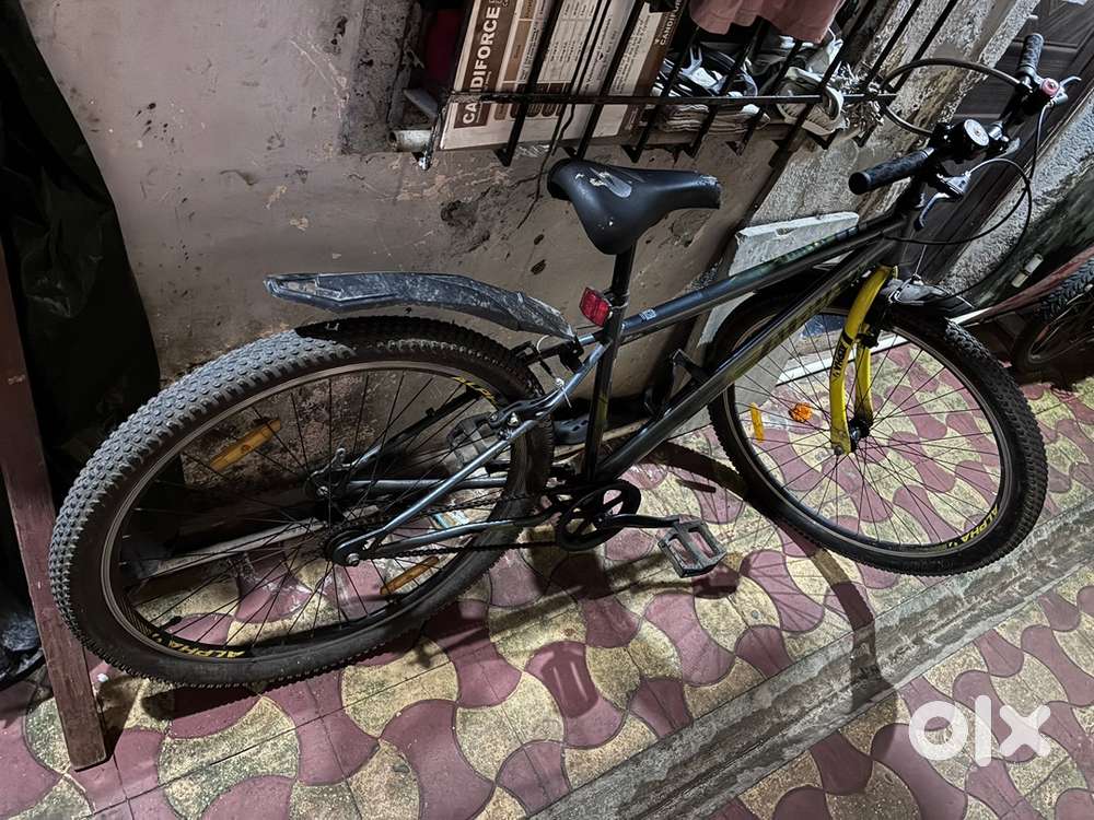 3 month old cycle
