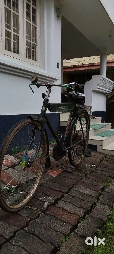 Hercules Bicycle Green
