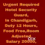 Security Jobs chandigarh 27