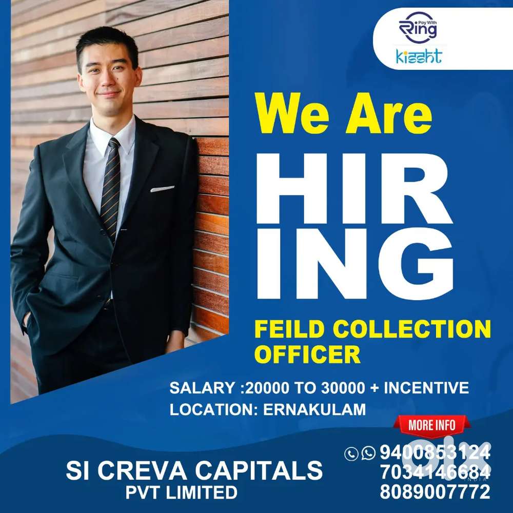 COLLECTION EXECUTIVE