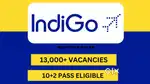 Vacancy open in indigo Airlines urgent hiring apply