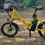 ELECTRIC CYCLE : VAAN BY BENELLI