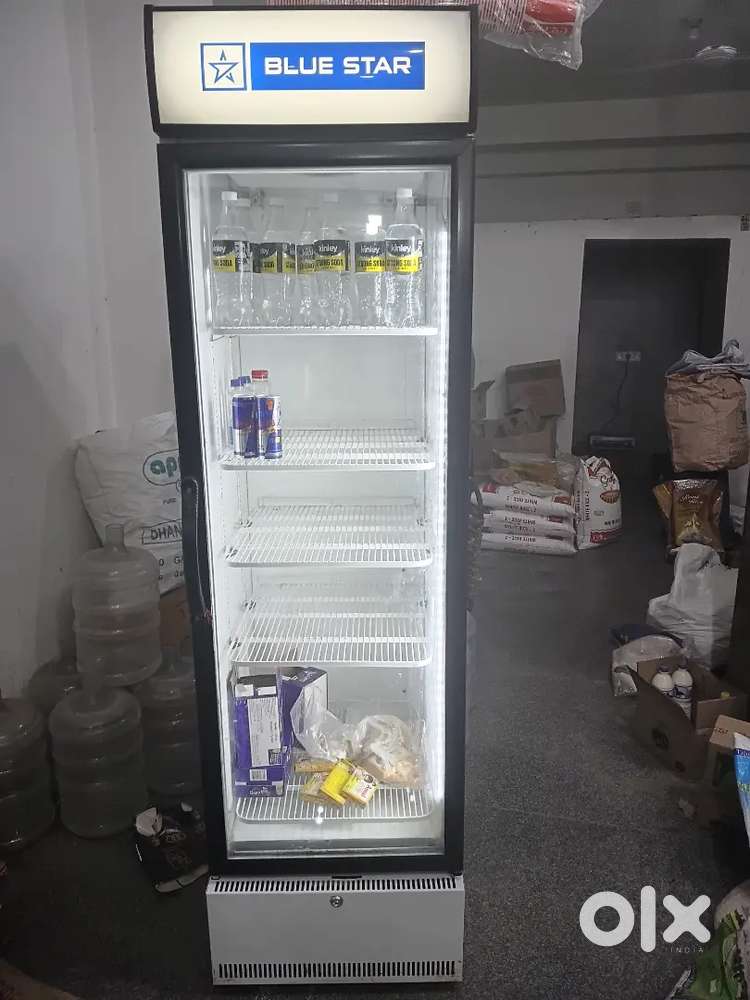 Urgent sale commercial fridge