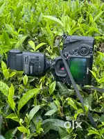 Canon 5D Mark 4