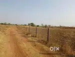 Agricultural Land for Sale | Great Connectivity & Investment Opportuni