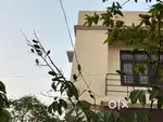 Mishra colony sarojninagar near haj house