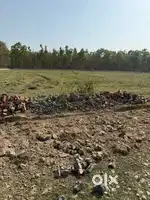 Rampur sela kuwi