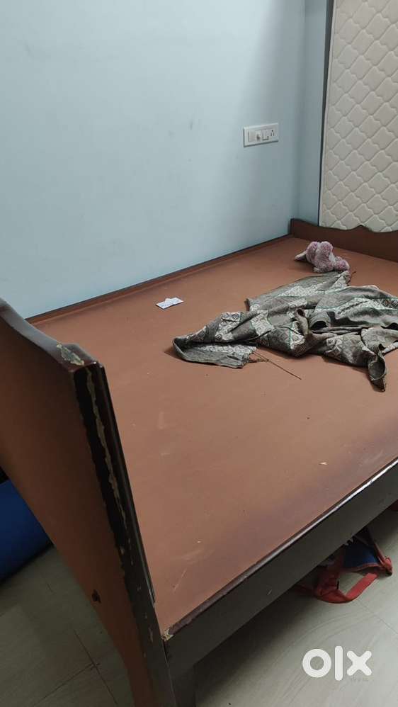 Double cot (queen size)