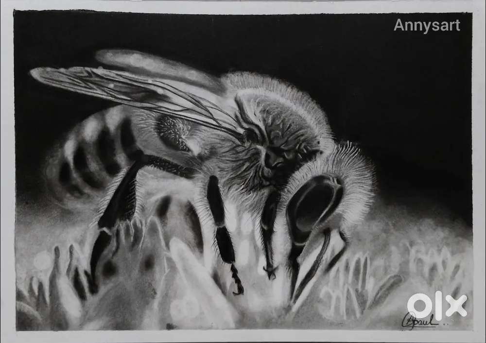 Drawing of the Bee