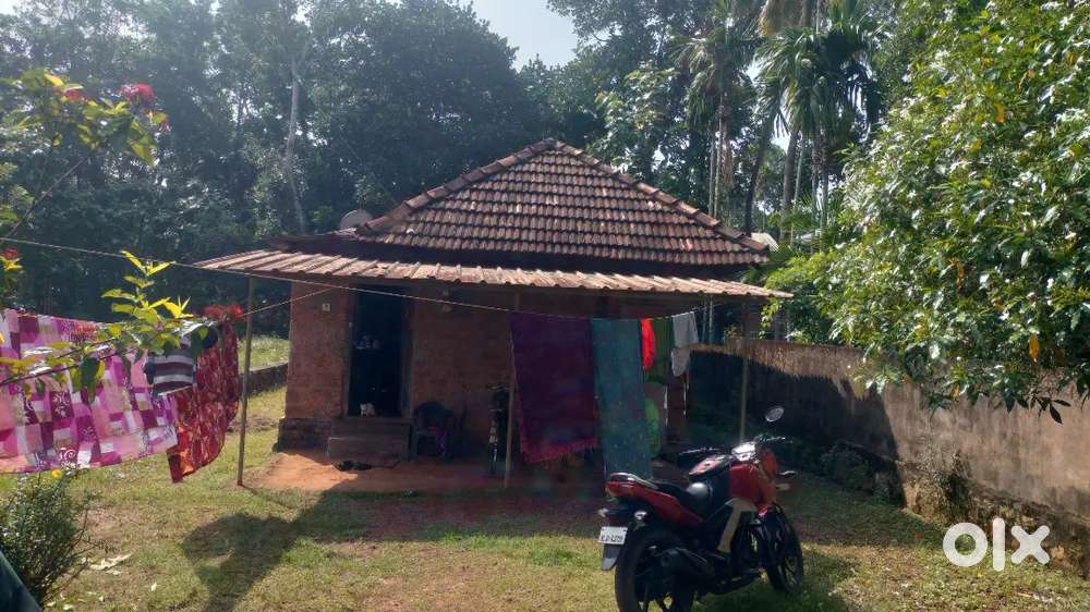 Rectagular plot with a house