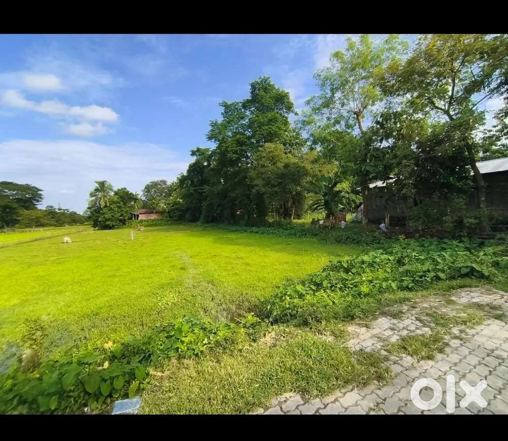 Land at Baihata Chariali