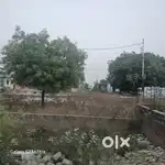 300mtr Yamuna Authority plots for sale - sector - 18