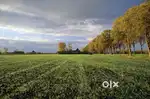 Land For Sale 1 Kotha  Near In  National Highway