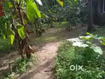 9 Cent land for sale at pokkulangara Engandiyoor near highway, .