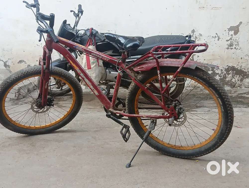 Bicycle premium quality