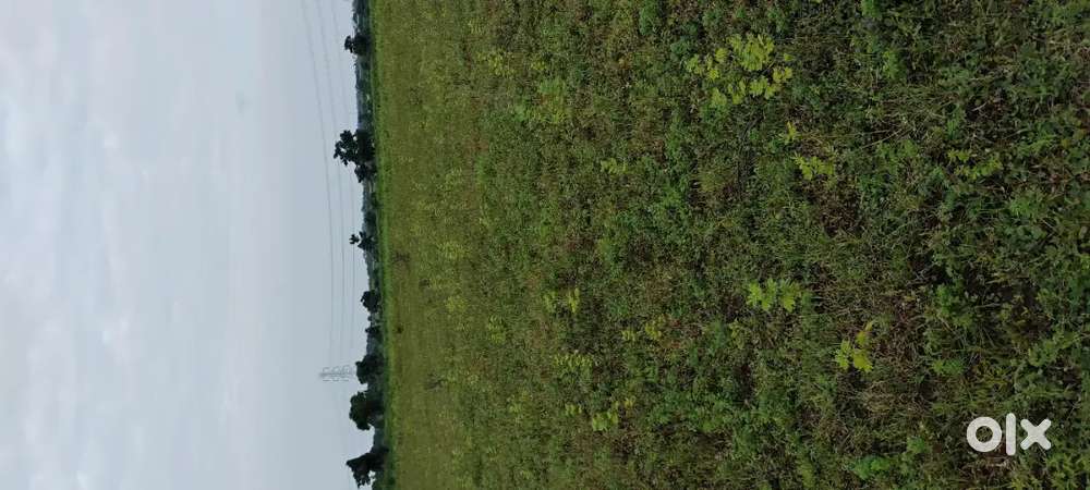 7 ACRE PANDHAN TOUCH LAND FOR SALE AT UMRI MEGHE