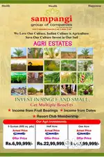 Affordable pricing starting at ₹999/sq. yard