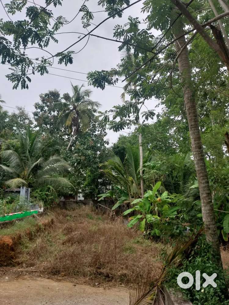 16 cent plot with house