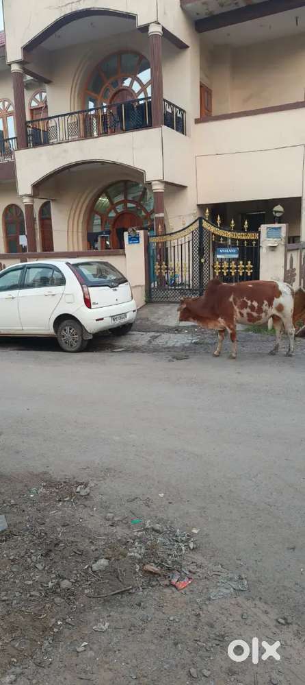 टीपी नगर कोरबा में मकान किराए पर देना है