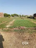 Free hold land
