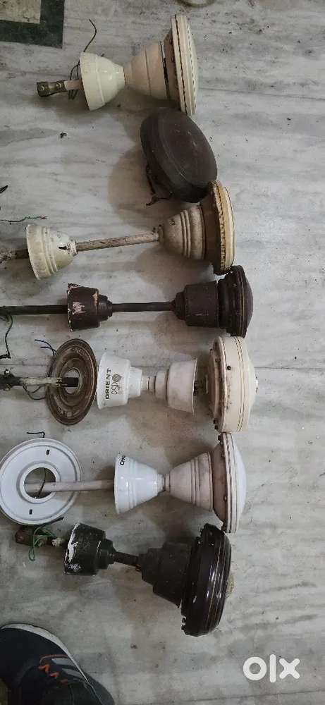 Fan for sale