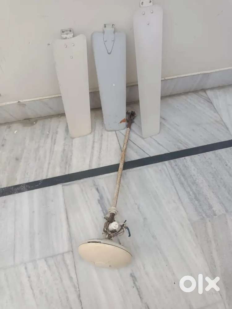 Two ceiling fans for sale