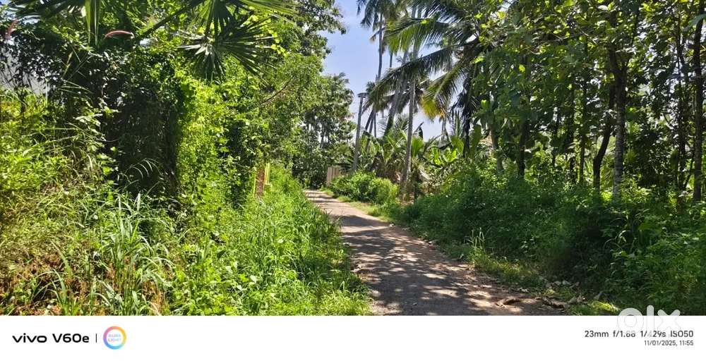 MULTI PURPOSE LAND FOR SALE