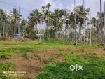 Riverside 50-Cent Plot for Sale in Kenichira Wayanad