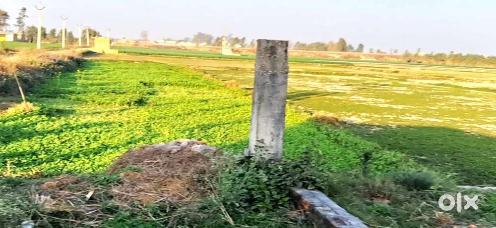 agriculture land only 13 lac per bigha