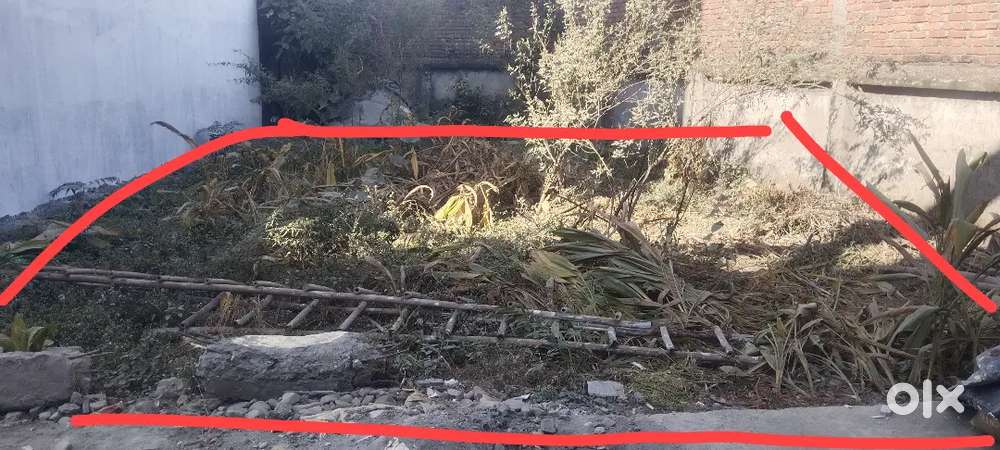 100 gaj balawala hp petrol pump