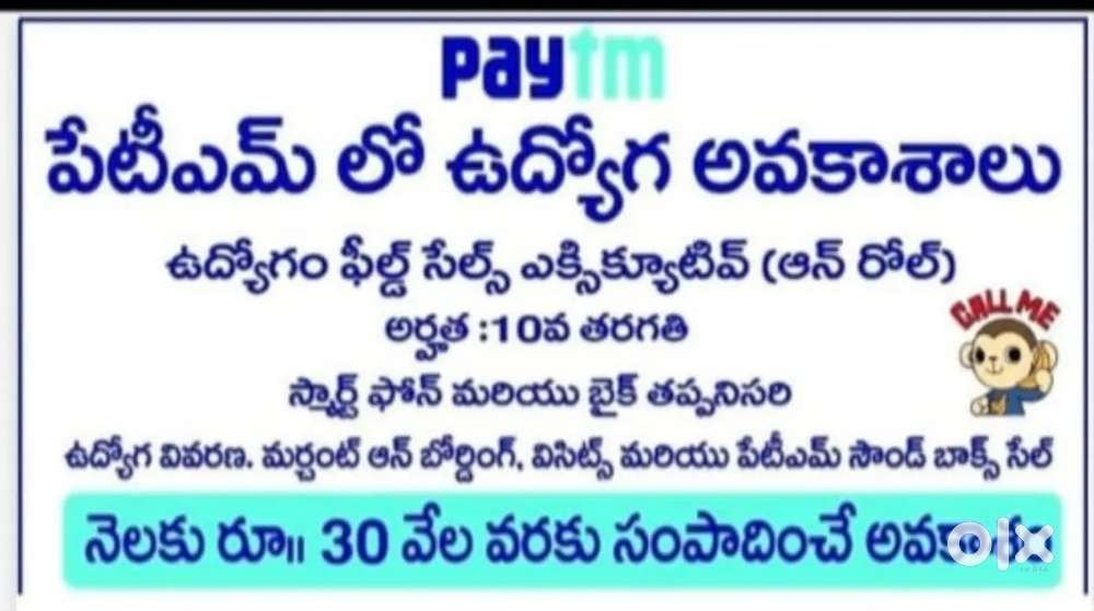 Paytm Sales executives