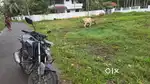 6 സെന്റ് വെളോർവെട്ടം ശക്തീശ്വരം കവല ഒരു സെന്റിനെ 3.50ലക്ഷം