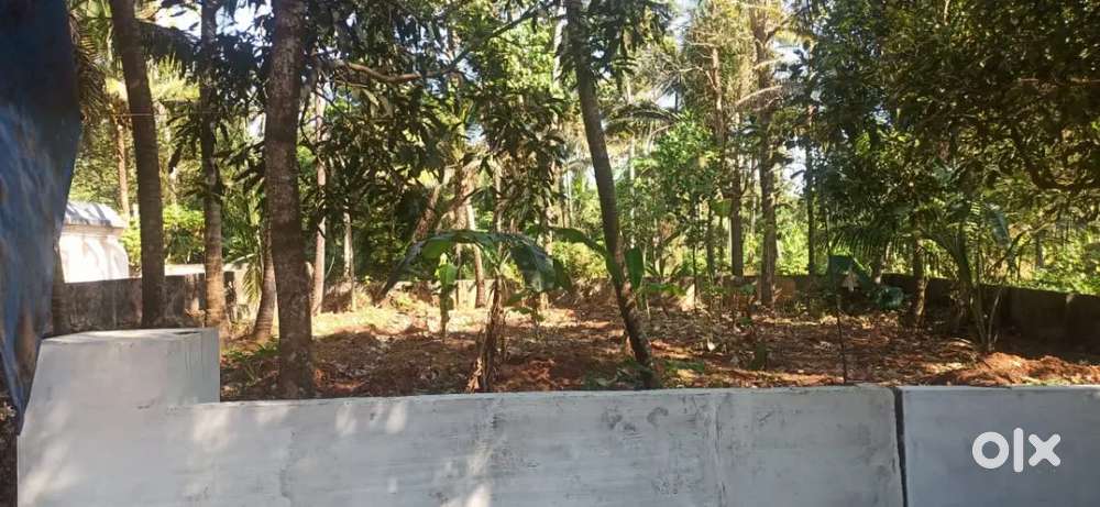 Thrissur nellikunnu near merlin garden 5,6 cent plot for sale